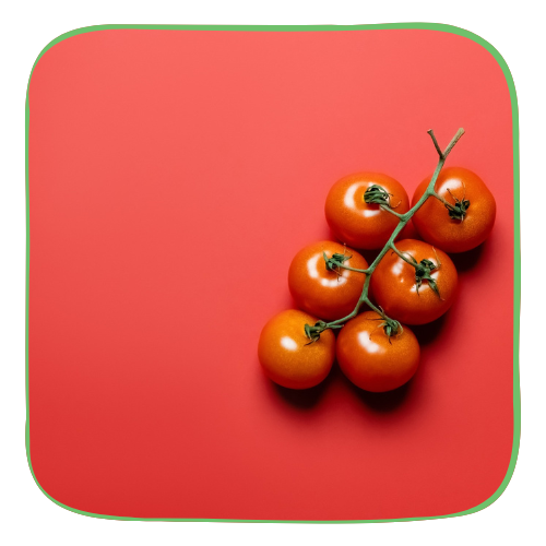 tomates en rama